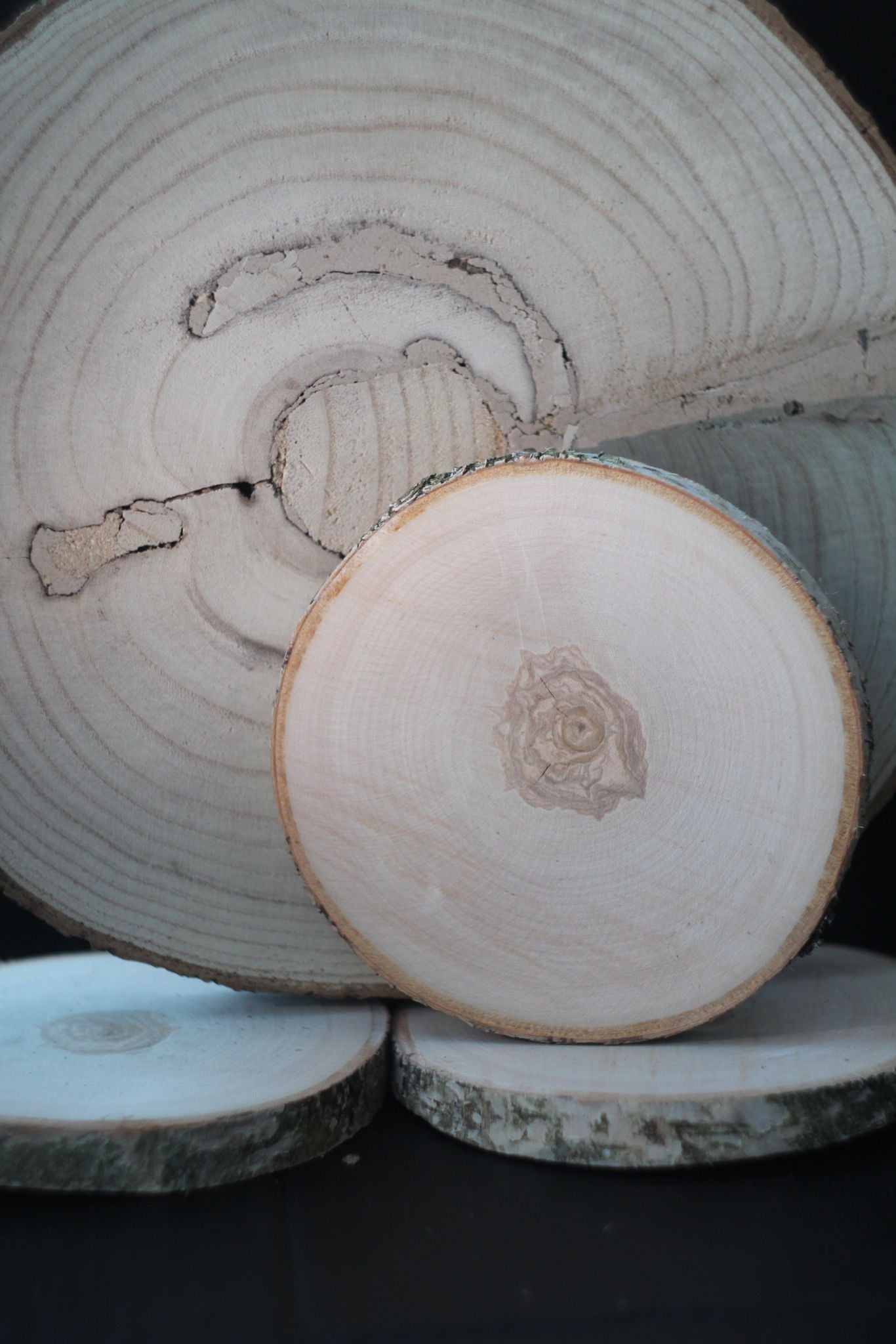 KOKA RIPA 15 CM