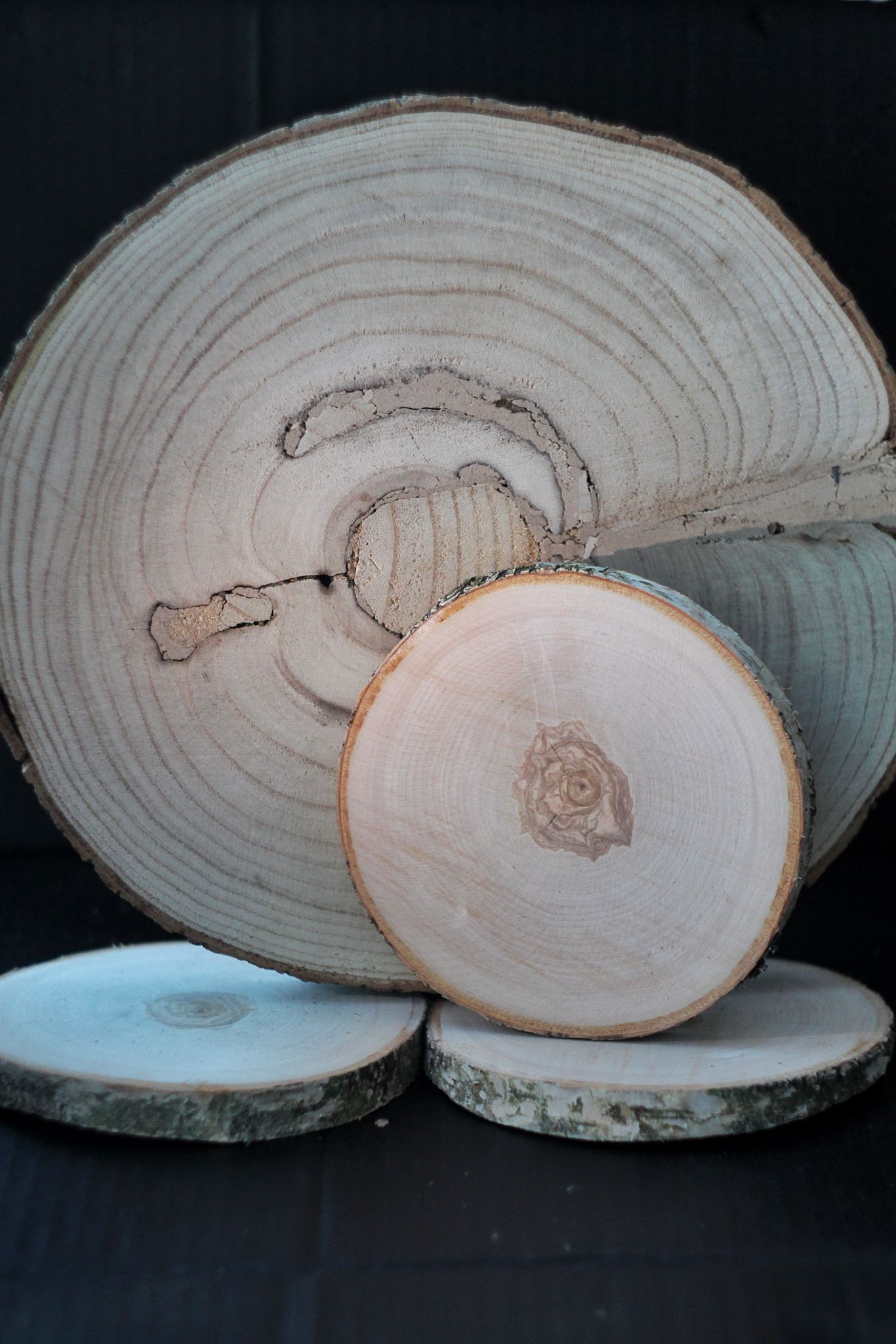 KOKA RIPA 15 CM