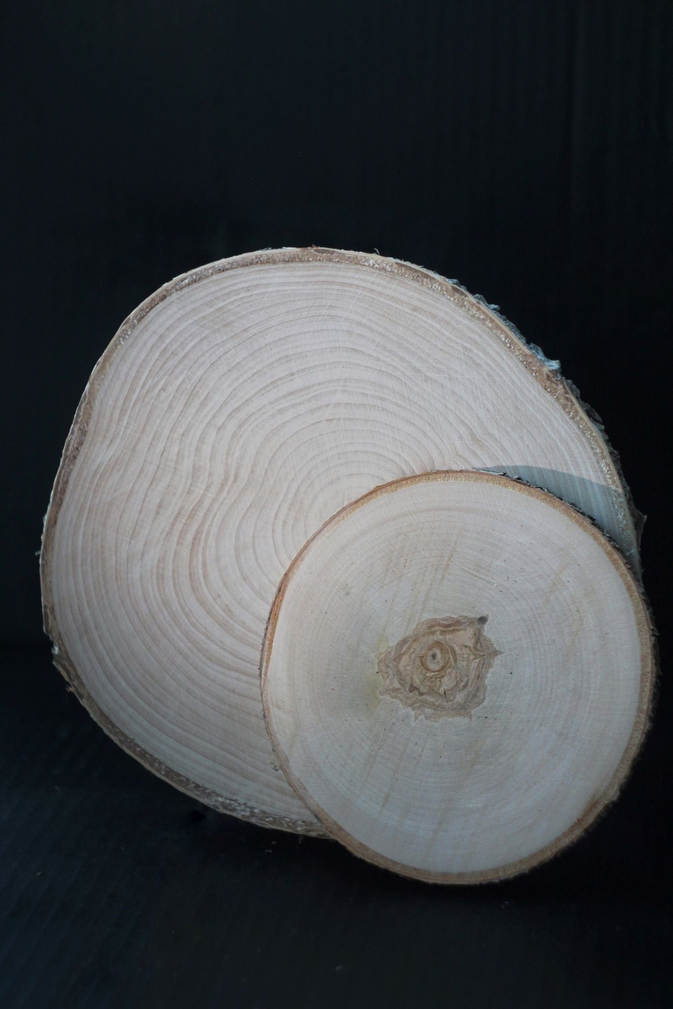 KOKA RIPA 19-22CM