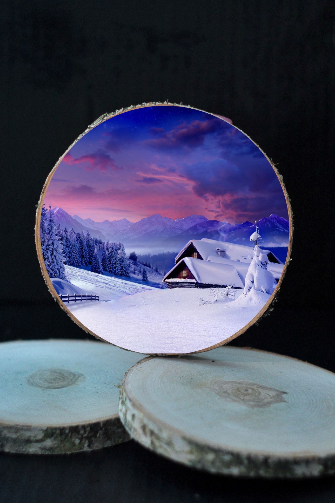 3D Koka ripiņa - ZIEMA