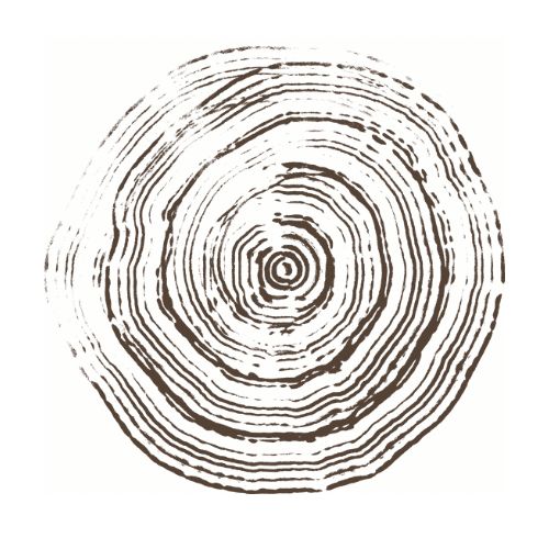 ''No idejas līdz pilnvērtīgam biznesam'' intervijas fragments ar Vladislavu Saidi