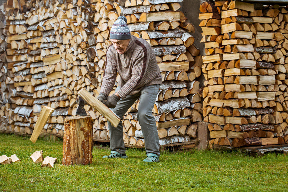 🌳KOKI LATVIJĀ UN TO PIELIETOJUMS TIRGŪ 🌲