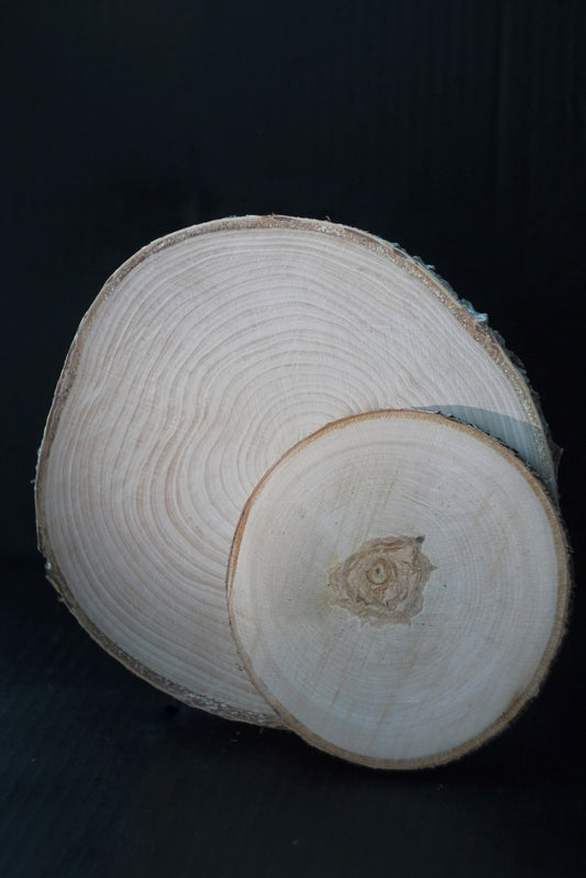 KOKA RIPA 19-22CM