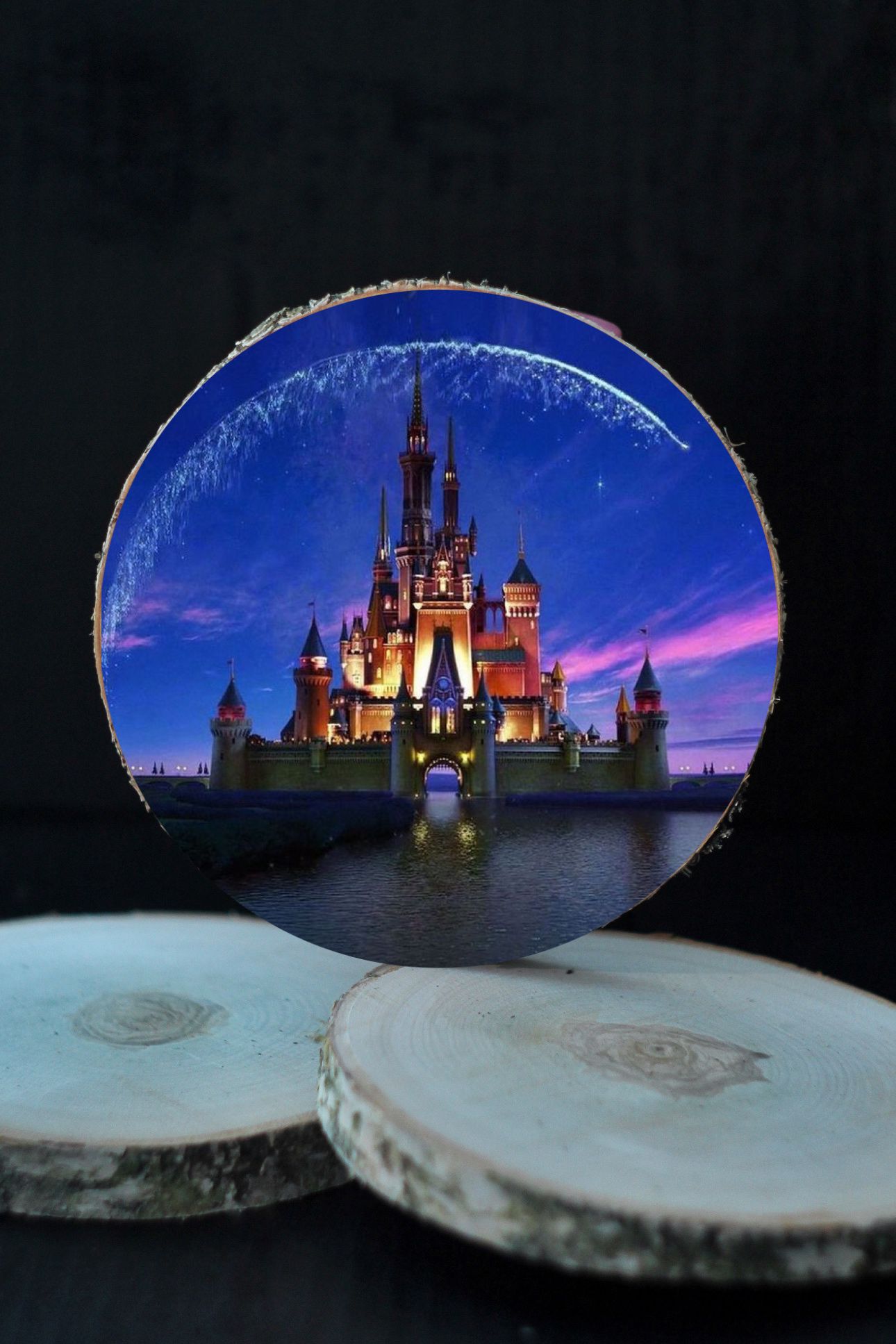 3D Koka ripiņa - DISNEY