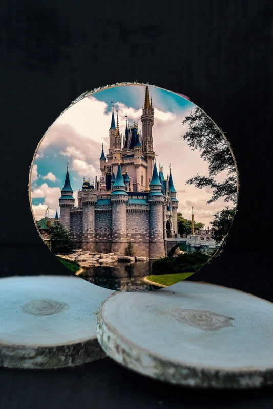 3D Koka ripiņa - DISNEY