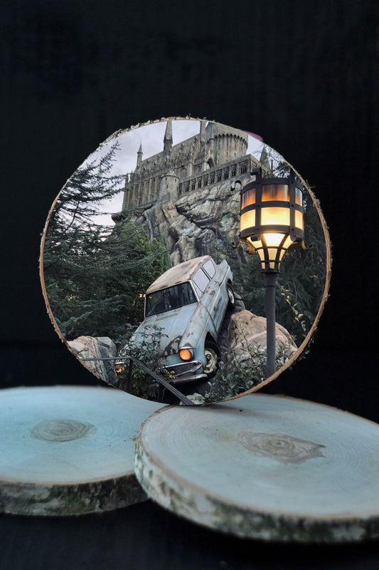 3D Koka ripiņa - HARRY POTTER