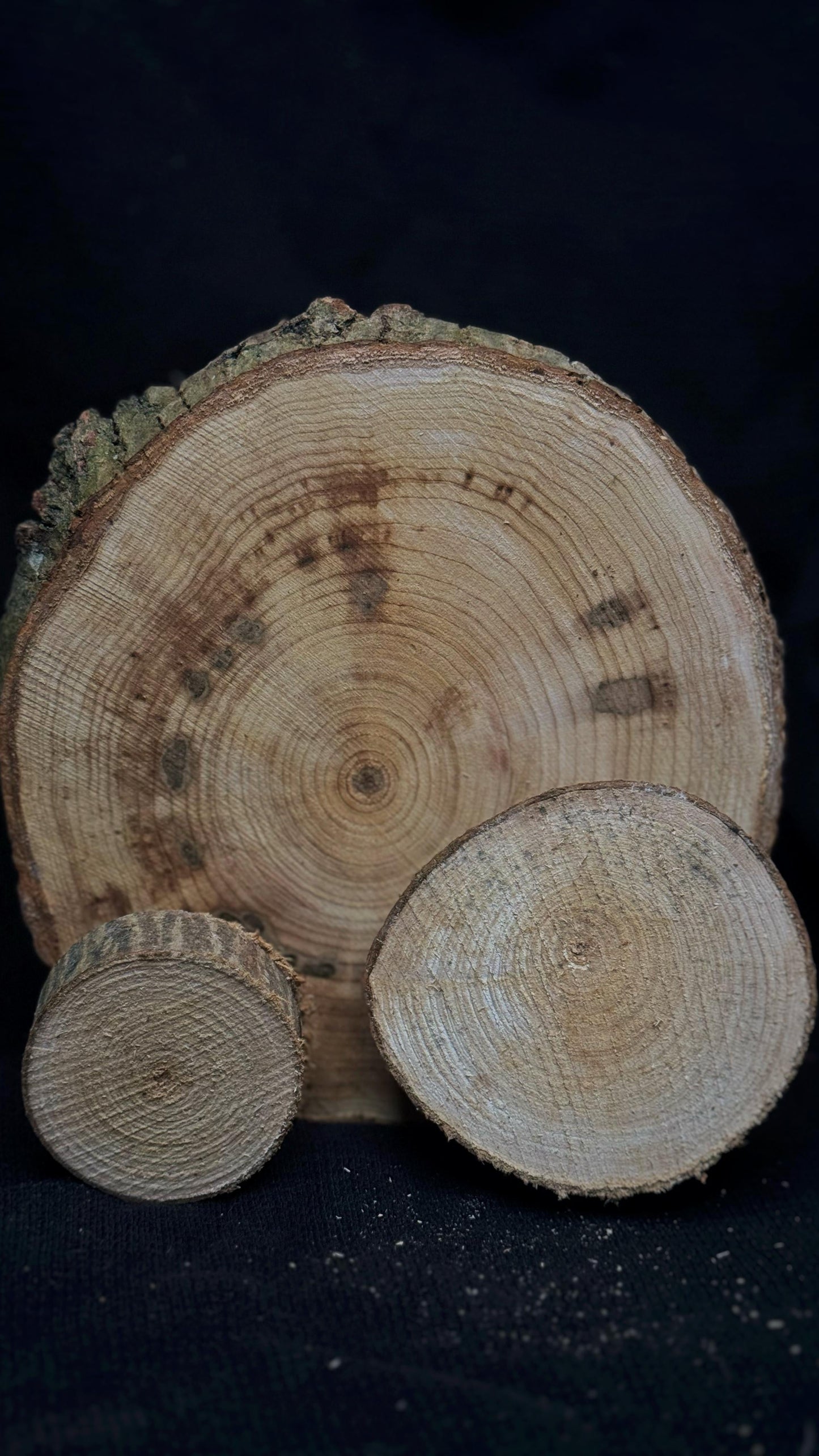 KOKA RIPA 12 CM