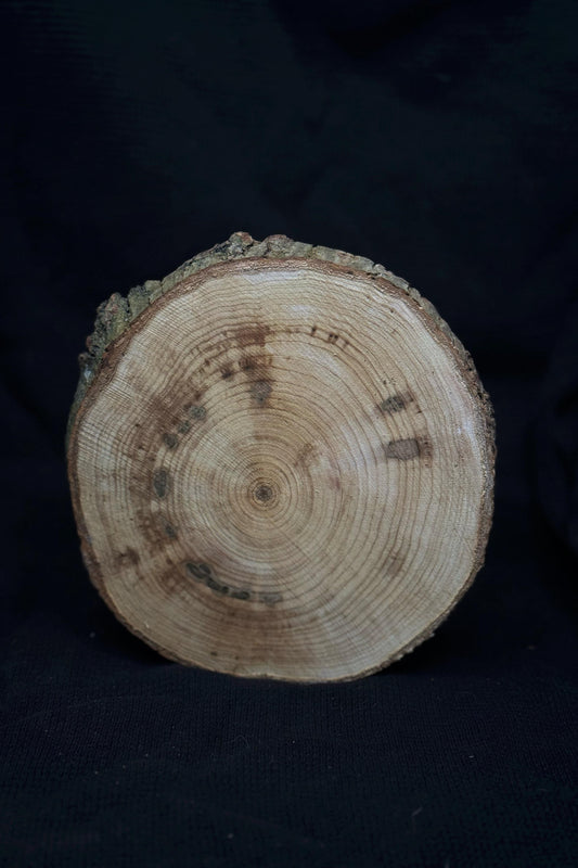 KOKA RIPA 12 CM